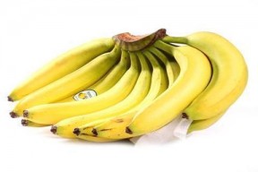 久久香蕉国产,生态农业的典范之路