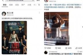 在线视频观看国产,在线视频观看背后的国产力量